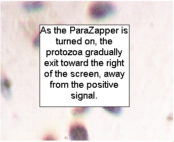 ParaZapper Works Microbe killer